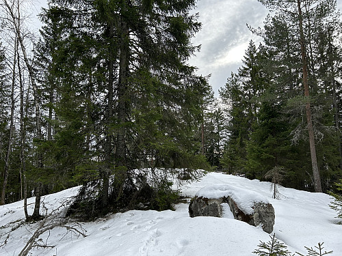 Tørråsen i Lørenskog 326 moh