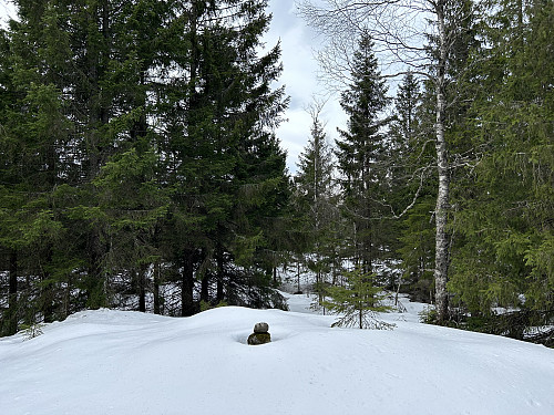 Sæterkollen 344 moh