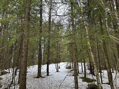 Haugerkollen 355 moh i Lørenskog