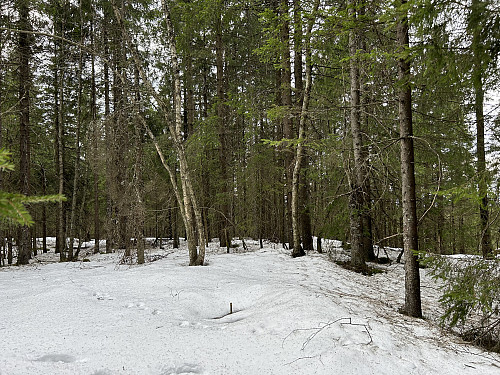 Haugerkollen 355 moh i Lørenskog