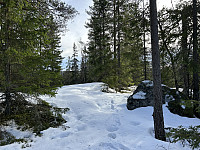 ØyvindBergkvam_20230410_6433c84c989e8.jpg