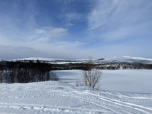 Fra veien inn mot Marenvollen ses hele ruta godt. Gråhøgda til venstre og Raudhåmmåren til høyre.