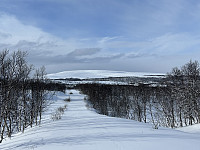 ØyvindBergkvam_20230411_64353c026df66.jpg