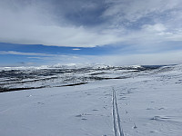 ØyvindBergkvam_20230411_64353c03480f4.jpg