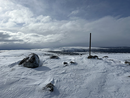 Gråhøgda i Røros