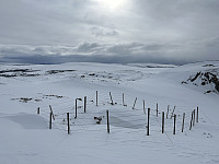 ØyvindBergkvam_20230411_64353c0791382.jpg