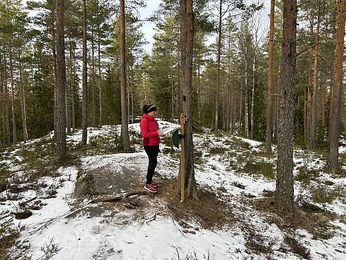 Brattåsen i Lillestrøm