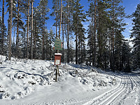 ØyvindBergkvam_20230411_64354315b2af9.jpg