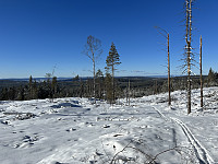 ØyvindBergkvam_20230411_643543184ab29.jpg