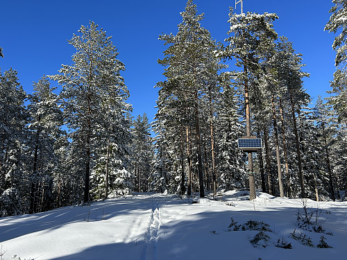 Kukollen i Lillestrøm