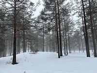 ØyvindBergkvam_20230507_64580f42da22a.jpg