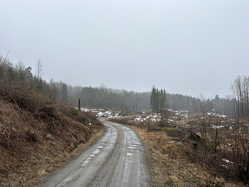 Skogsveien ble fulgt sørover omtrent en kilometer før jeg tok til venstre inn på stien.