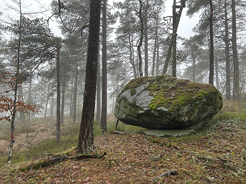 Fint og trolsk like vest for toppen på Hoven