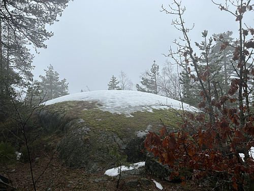 Toppkollen på Hoven i Larvik