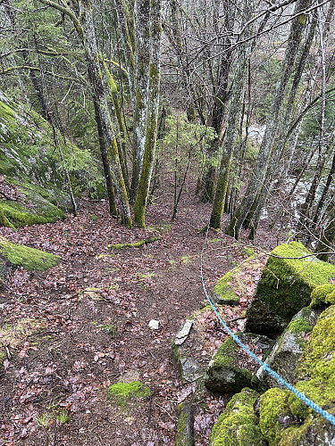 Her går det bratt oppover mot Falken, tauet kom godt med på en dag som dette:)