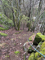 ØyvindBergkvam_20230508_6458f1d663e1b.jpg