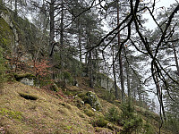 ØyvindBergkvam_20230508_6458f1d8d4299.jpg