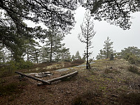 ØyvindBergkvam_20230508_6458f1dada70f.jpg