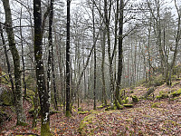 ØyvindBergkvam_20230508_6458f1dcde37a.jpg