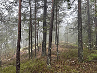 ØyvindBergkvam_20230508_6458f1df14d68.jpg