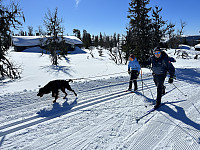 ØyvindBergkvam_20230508_6458ffe64539f.jpg