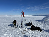 ØyvindBergkvam_20230508_6458ffeaf3f36.jpg