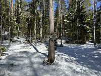 ØyvindBergkvam_20230509_6459f78c97782.jpg