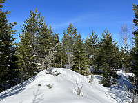ØyvindBergkvam_20230509_6459f78e41ee6.jpg