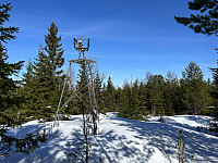 ØyvindBergkvam_20230509_6459f78fa6dd0.jpg
