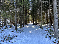 ØyvindBergkvam_20230509_6459fbf0dba6f.jpg