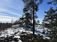 ØyvindBergkvam_20230509_6459fbf35b08a.jpg