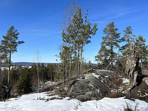 Toppkollen på Korpåsen 238 moh