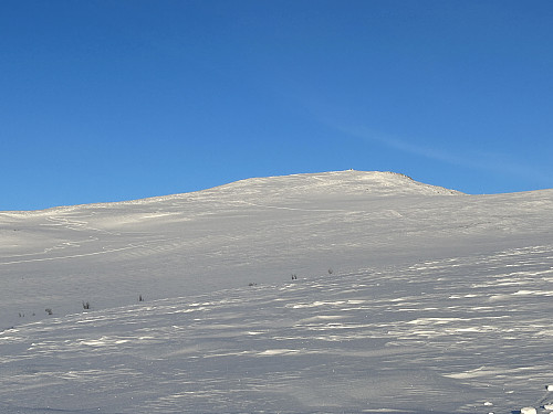 De oppkjørte løypene kan ses hele veien opp til toppen av Formokampen