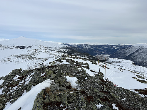 Hårrtjønnhøe med utsikt nordover mot Dovre