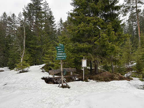 Bjønnehiet er et fint turmål i Fet-skogen