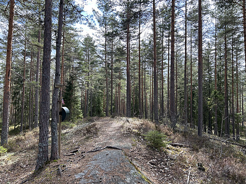 Brattåsen i Lillestrøm