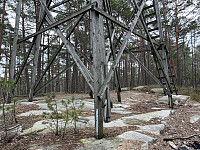 ØyvindBergkvam_20230509_645a8fd274b52.jpg