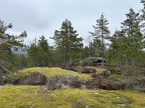 Kollerøysåsen i Nordre Follo