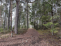 ØyvindBergkvam_20230511_645cd6ee60fbd.jpg