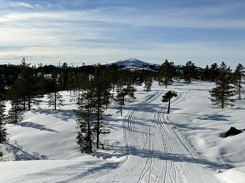 Det kjøres skiløyper fra Damtjern retning Veslefjell