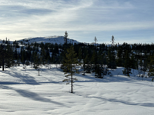 Omtrent 1,5 kilometer før Veslefjell dreier skiløypene nedover retning nord, så herfra må man tråkke spor selv 