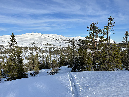 Temmelig råtten snø i stigningen opp mot Veslefjell. Sørbølfjellet ruver i bakgrunnen