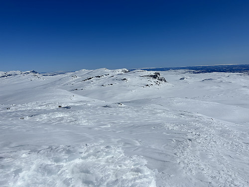 Utsikt fra Skoddenose østover mot Lauvdalsbrea og Fossebrea. Bak til venstre i bildet ses Skogshorn i Hemsedal