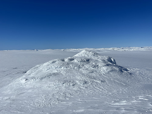 Toppen av Reineskarvet 1789 moh