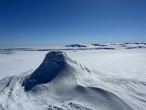 Sørtoppen på Reineskarvet med Hardangerjøkulen i bakgrunnen