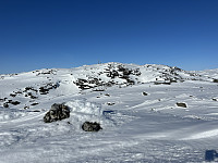 ØyvindBergkvam_20230809_64d3bc204adc4.jpg