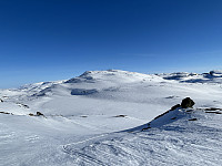 ØyvindBergkvam_20230809_64d3bc2327aff.jpg