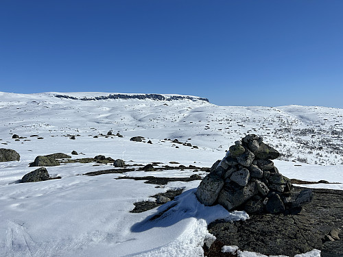 Fjellbergnuten med den østlige delen av Hallingskarvet i bakgrunnen