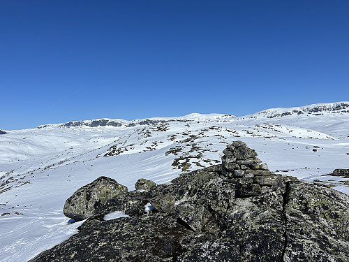Nygardsnuten 1259 moh