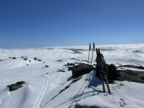 Slåttehallnuten 1310 moh i Hol. 